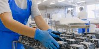 1 in 4 Ontario F&B manufacturers waiting more than a year for critical staff